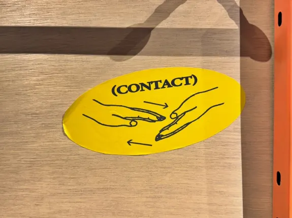 Wunderino Kazino Pagalba